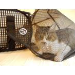  бесплатная доставка [ кошка .].... сеть перемещение час. 6kg до . починка бедствие через . перемещение кусачки для ногтей 