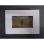 レア物 全日本空輸 ANAホールディング