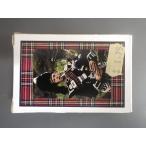  редкий предмет Англия SOUVENIR земля производство предмет тамбурин без тарелочек дудка . маршировка частота PLAYING CARDS карты plain g карта управление No.6858