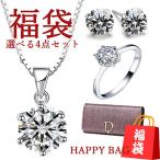 福袋 ジュエリー 4点セット ネックレス ピアス 指輪 本革財布 一粒ダイヤ 大粒 プラチナ仕上げ シルバー925 人気 プレゼント 母の日