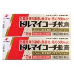 【送料無料】 ドルマイコーチ軟膏 12g×2個セット｜指定第2類医薬品｜ゼリア新薬