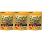 【送料無料】ウコン濃縮エキス顆粒