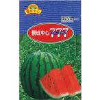 祭ばやし777 大玉スイカ 200粒 スイカ すいか 西瓜【萩原農場 種 たね タネ】【通常5倍 5のつく日はポイント10倍】