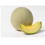 ショッピングメロン ディーバ 100粒 めろん メロン 【萩原農場 種 たね タネ】【通常5倍 5のつく日はポイント10倍】