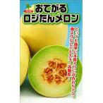 おてがるロジたん 100粒 めろん メロン 舐瓜【小林種苗 種 たね タネ】【通常5倍 5のつく日はポイント10倍】