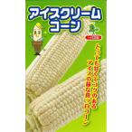アイスクリームコーン 2000粒 スイートコーン【小林種苗 種 たね タネ】【通常5倍 5のつく日はポイント10倍】