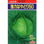 強力はやどり50 1dl キャベツ【小林種苗 種 たね タネ】【通常5倍 5のつく日はポイント10倍】