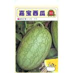 ショッピングスイカ 嘉宝 1dl スイカ すいか 西瓜【神田育種農場 種 たね タネ 】【通常5倍 5のつく日はポイント10倍】