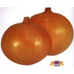 貴錦 20ml 玉ねぎ たまねぎ 玉葱 タマネギ【カネコ種苗 種 たね タネ 】【通常5倍 5のつく日はポイント10倍】