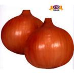 ショッピング玉ねぎ スワロー ペレット5000粒 玉ねぎ たまねぎ 玉葱 タマネギ【カネコ種苗 種 たね タネ 】【通常5倍 5のつく日はポイント10倍】