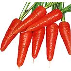  золотой .. сердцевина . размер 1dl. человек Gin морковь морковь [ круг вид вид ..tane][[ обычный 5 раз 5. .. день. отметка 10 раз ]]