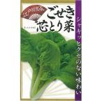 江戸川育成 ごせき芯とり菜 キダネ 1dl シントリ菜 シントリナ しんとりな【日本農林社 種 たね タネ 】【通常5倍 5のつく日はポイント10倍】