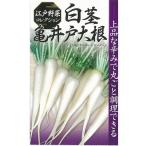 白茎亀井戸大根 1dl 大根 ダイコン だいこん　【日本農林社 種 たね タネ 】【通常5倍 5のつく日はポイント10倍】