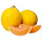 黄皮　シグナル 100粒 �