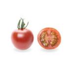 PRIMAX ヘレナ ミニトマト プライマッ