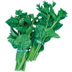 takiitsuru фиолетовый ( зеленый стебель ) 1dl шпинат комацуна Komatsu na волчок ..[takii вид ..tane][ обычный 5 раз 5. .. день. отметка 10 раз ]