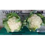 リゾットビアンコ45 1000粒(Lコート) �