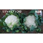 リゾットビアンコ60 1000粒(Lコート) 