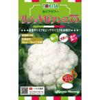 リゾットビアンコ75 2000粒 カリフラ�