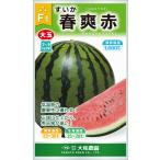 春爽赤 200粒 スイカ すいか 西瓜【大和農園 種 たね タネ】【通常5倍 5のつく日はポイント10倍】