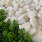 TAIKOH crystal белый 8 минут 20-30mm 10kg косметика гравий белый шар камень средний 