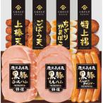 メーカー直送 2025 お歳暮 鹿児島県産黒豚ハム さつまあげセット 〈KKS-300N〉 御歳暮 寒中見舞 ウィンターギフト