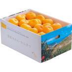  производитель прямая поставка 2025 подарок по случаю конца года Ehime префектура запад . мир производство мандарин уншиу (5kg). лет . холод средний видеть Mai winter подарок 