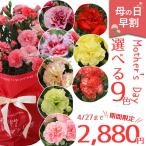 母の日 早割 プレゼント 花 カーネーション 8色から選べる 花鉢 ギフト 5号鉢 いちごホイップ さくらもなか 送料無料