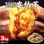 ショッピングさつまいも さつまいも 安納芋 種子島 産 生芋 3kg Mサイズ 土付き 地元 鹿児島県産 安納 芋 サツマイモ