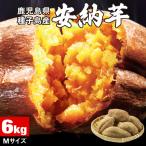 (ポイント2倍) さつまいも 安納芋 種子島 産 取り寄せ 生芋 6kg 1箱 Mサイズ 土付き 箱買い 送料無料 美味しい 鹿児島産 安納 芋 生 サツマイモ 焼き芋 に