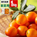 (ポイント2倍) きんかん 訳あり 家庭用 金柑 1kg 鹿児島 樹上 完熟 キンカン 甘い 黄金丸 生 わけあり果物 食品 フルーツ