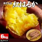 さつまいも 紅はるか 鹿児島 生芋 6kg 2Lサイズ 土付き 産地直送 鹿児島県産 べにはるか