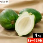 ギフト 石垣珊瑚 青パパイヤ 種無し 野菜 4.0kg 沖縄県 石垣島産 6〜10玉 送料無料 パパイヤ パパイヤ酵素