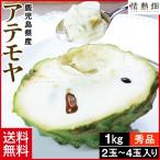 アテモヤ 鹿児島県産 秀品 2〜4玉 1kg 1箱 送料無料 ギフト