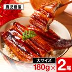 ショッピングうなぎ 父の日 (ポイント2倍) 父の日 うなぎ 国産 鰻 蒲焼き ギフト プレゼント 180g 2尾 鹿児島 大隅 食べ物 2024 冷凍