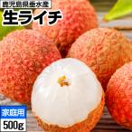  сырой laichi местного производства laichi сырой есть перевод для бытового использования 500g Кагосима префектура производство набор чёрный лист шар груз . Ray si фрукты 