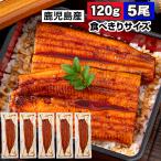(ポイント2倍) うなぎ 国産 お中元 ギフト 鰻 蒲焼き 120g 5尾 鹿児島 大隅産 冷凍 土用の丑の日 爆買