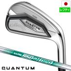 キャロウェイ QUANTUM MAX アイアン 5本セット(6-9,PW