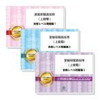 愛媛県職員採用(上級職)教養試験合格セット(3冊)