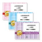 山梨県職員採用(上級職)教養試験合格セット(3冊)