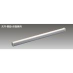 [LEDL-09902L-LS9] Toshiba LED линия прибор наружный водонепроницаемый для линия прибор ( лампа цвет ) 900mm модель [TOSHIBA]