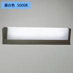 【OG554459R】オーデリック エクステリア 門柱灯 15W直管形LED 昼白色 調光器不可 ODELIC