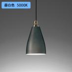 [OP252234NR]o-telik подвесной светильник 60W днем белый цвет LED style свет контейнер не возможно ODELIC