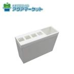 no-litsuSGN8666 зубная щетка BOX вешалка модель (LPAM-074) бесплатная доставка 