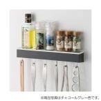 タカラスタンダード　どこでもラック スクエアタイプ　小物置きL＋フック　MGSKコモノフックL　ホワイト　【品番：41282589】●