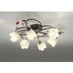 ショッピングシャンデリア オーデリック[OC257026LR]シャンデリア