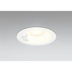 o-telik[OD261746R] встраиваемый светильник 100W Class 