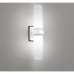 オーデリック[OG254893NR]エクステリア