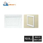 .. винил потолок * стена для осмотр . рамка-оправа 12.5mm для 250×250 GS250-12 61093