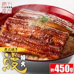 ショッピングうなぎ 蒲焼き 国内産 送料無料 うなぎ蒲焼 450g前後 訳あり 4〜5人前 ウナギ 鰻 うなぎ蒲焼き 中国産 超巨大 特大 タレ たれ 山椒付き 土用の丑 丑の日 冷凍